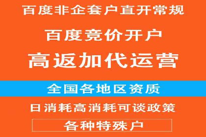 SEM网络推广案例：精准营销助力品牌成长